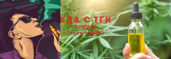 крисы Алзамай