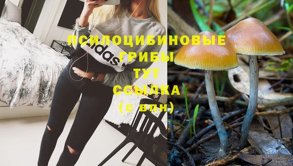 круглые Рославль