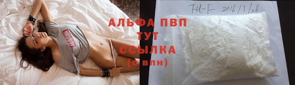 крисы Алзамай