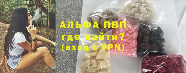 крисы Алзамай