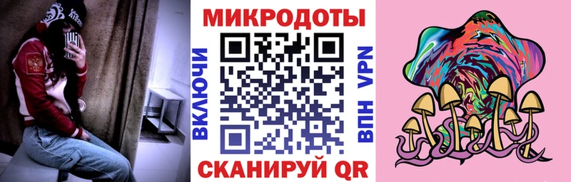 Галлюциногенные грибы Psilocybe  Курганинск 