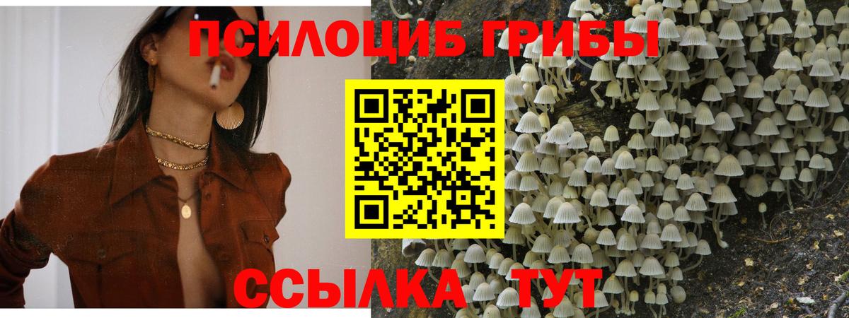 Галлюциногенные грибы прущие грибы Курганинск
