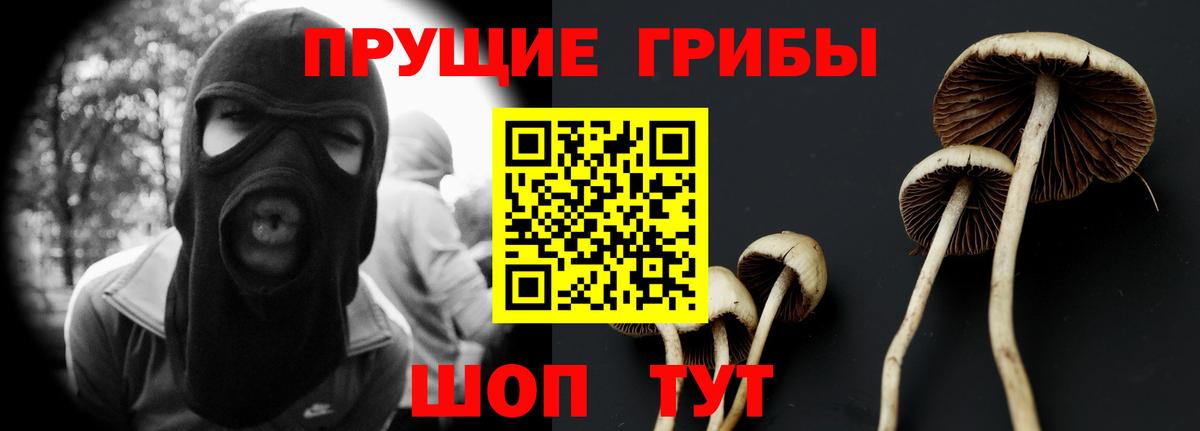 Галлюциногенные грибы GOLDEN TEACHER  купить наркоту  Курганинск  Вход с VPN  Галлюциногенные грибы Psilocybe 
